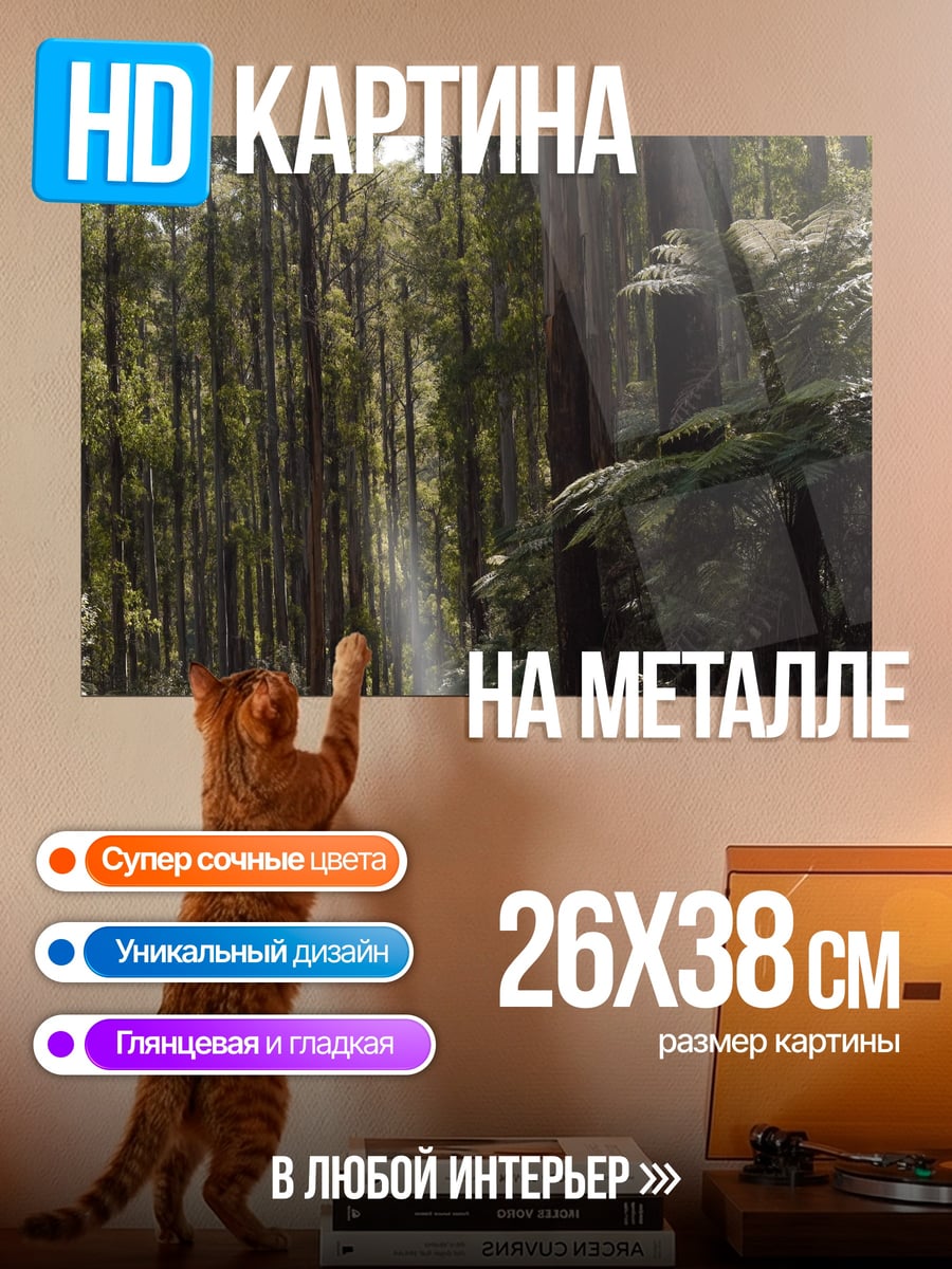 Картина на металле Мотоциклист в лесу