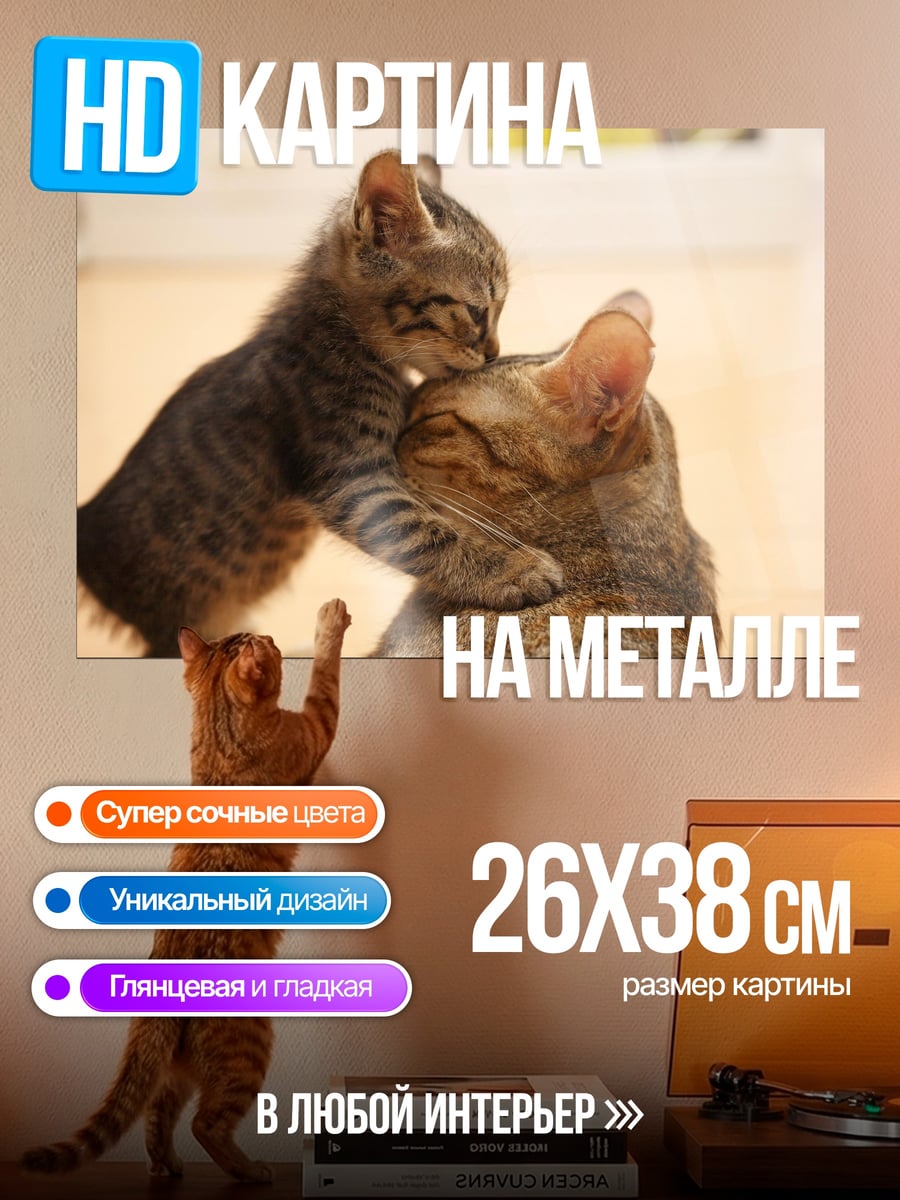 Картина на металле Котята играют