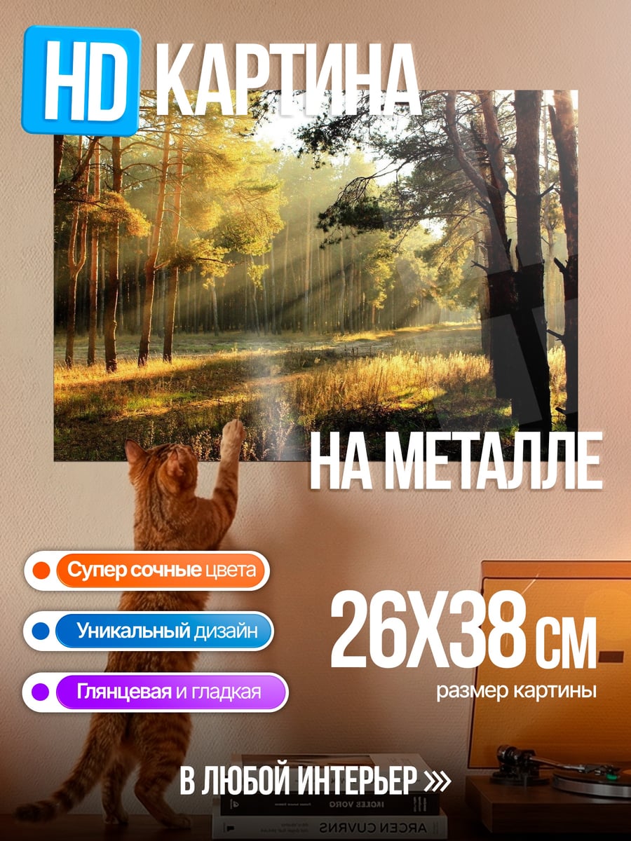 Картина на металле солнечные лучи лес
