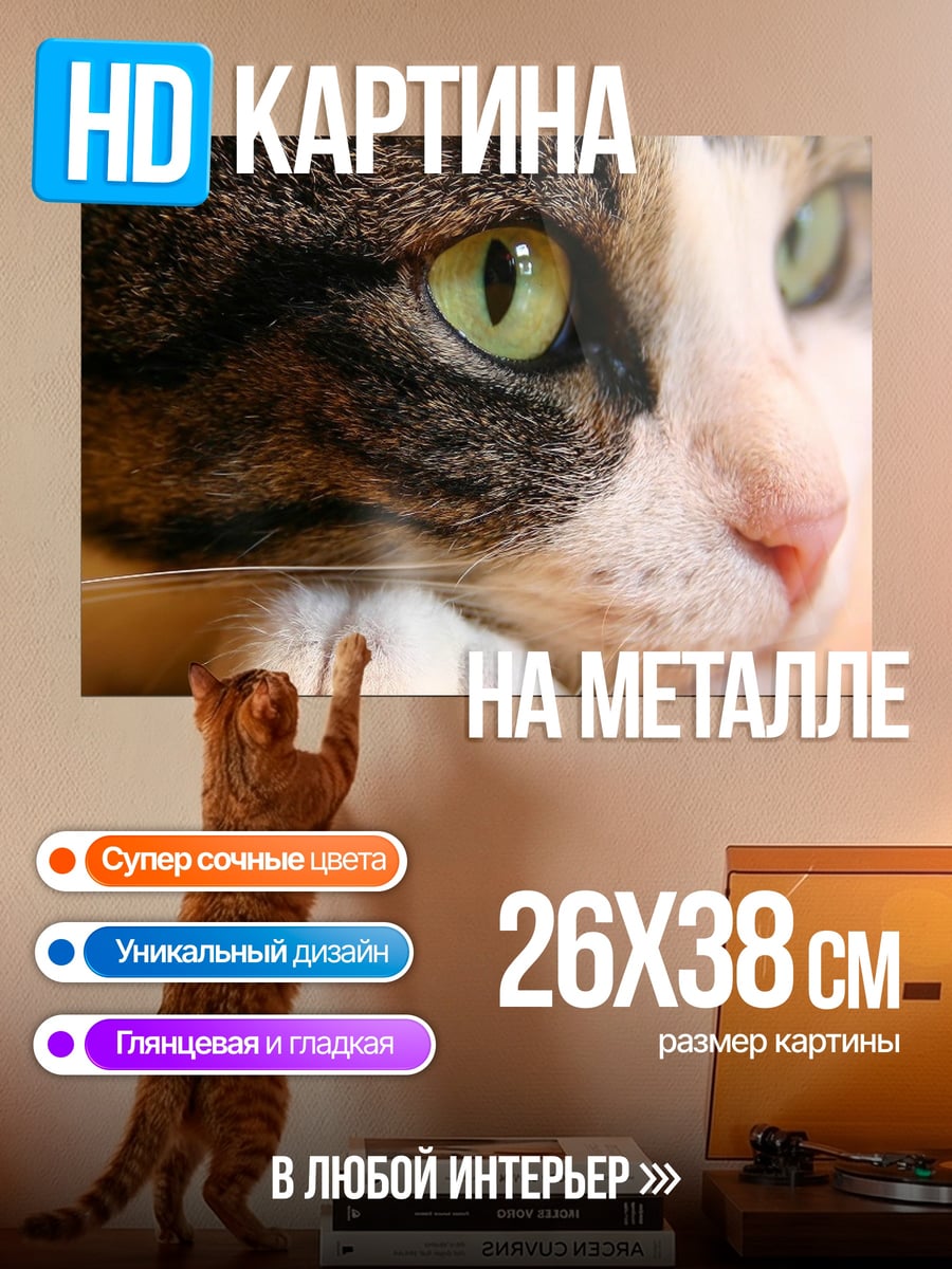 Картина на металле зеленые глаза кошка