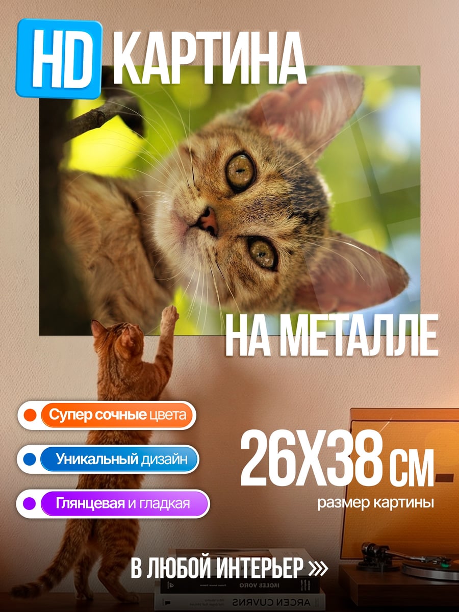 Картина на металле любопытный котенок