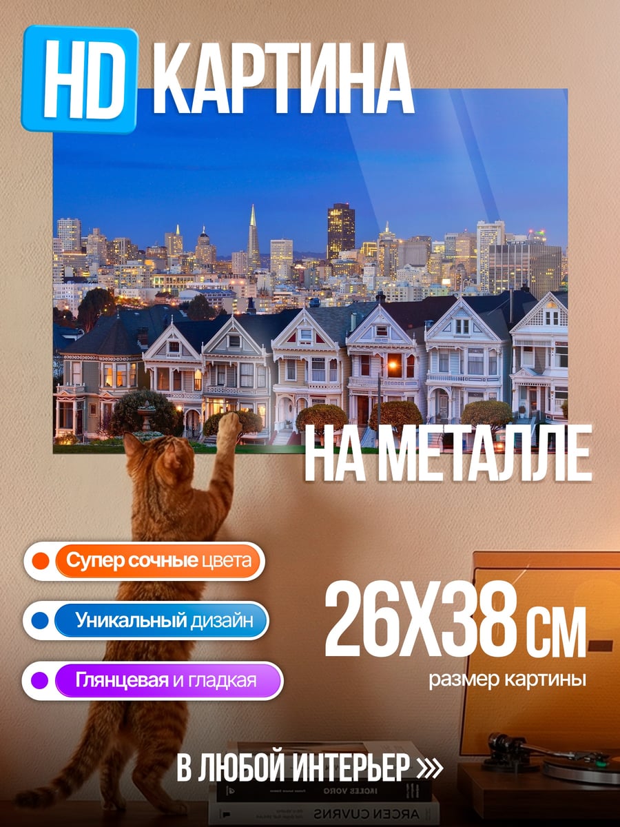 Картина на металле Дома Сан-Франциско