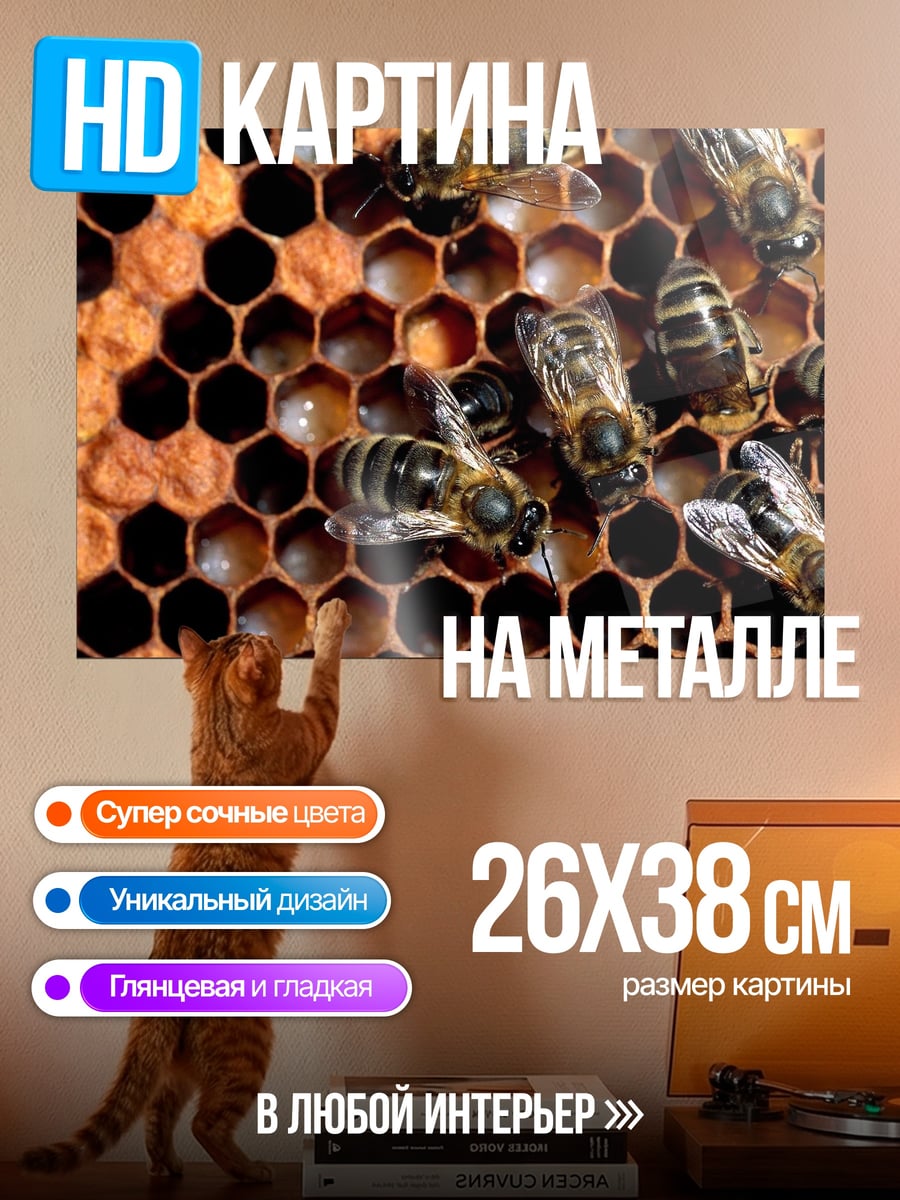 Картина на металле Пчелы на сотах