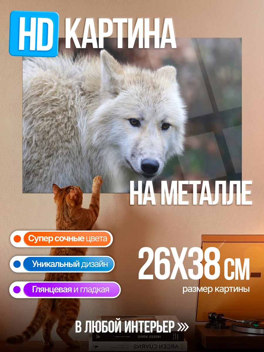 Картина на металле белый волк в лесу