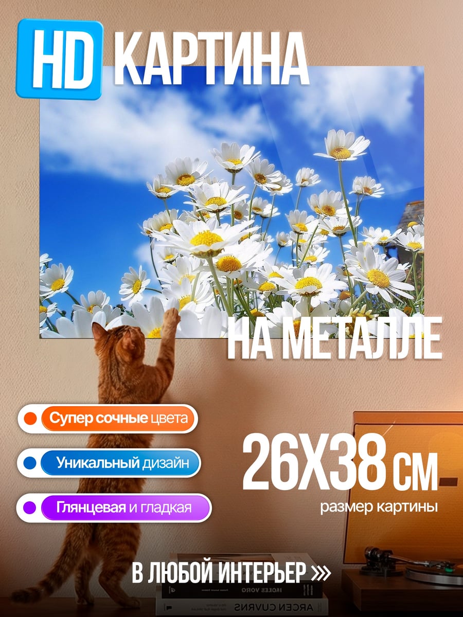Картина на металле ромашки на лугу