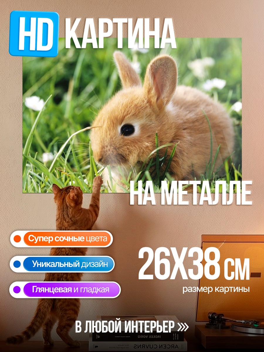 Картина на металле рыжий кролик в траве