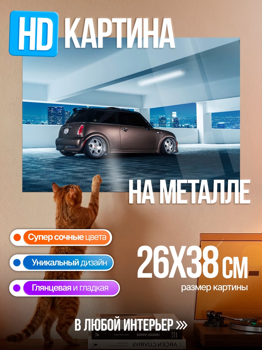 Картина на металле Спортивный мини
