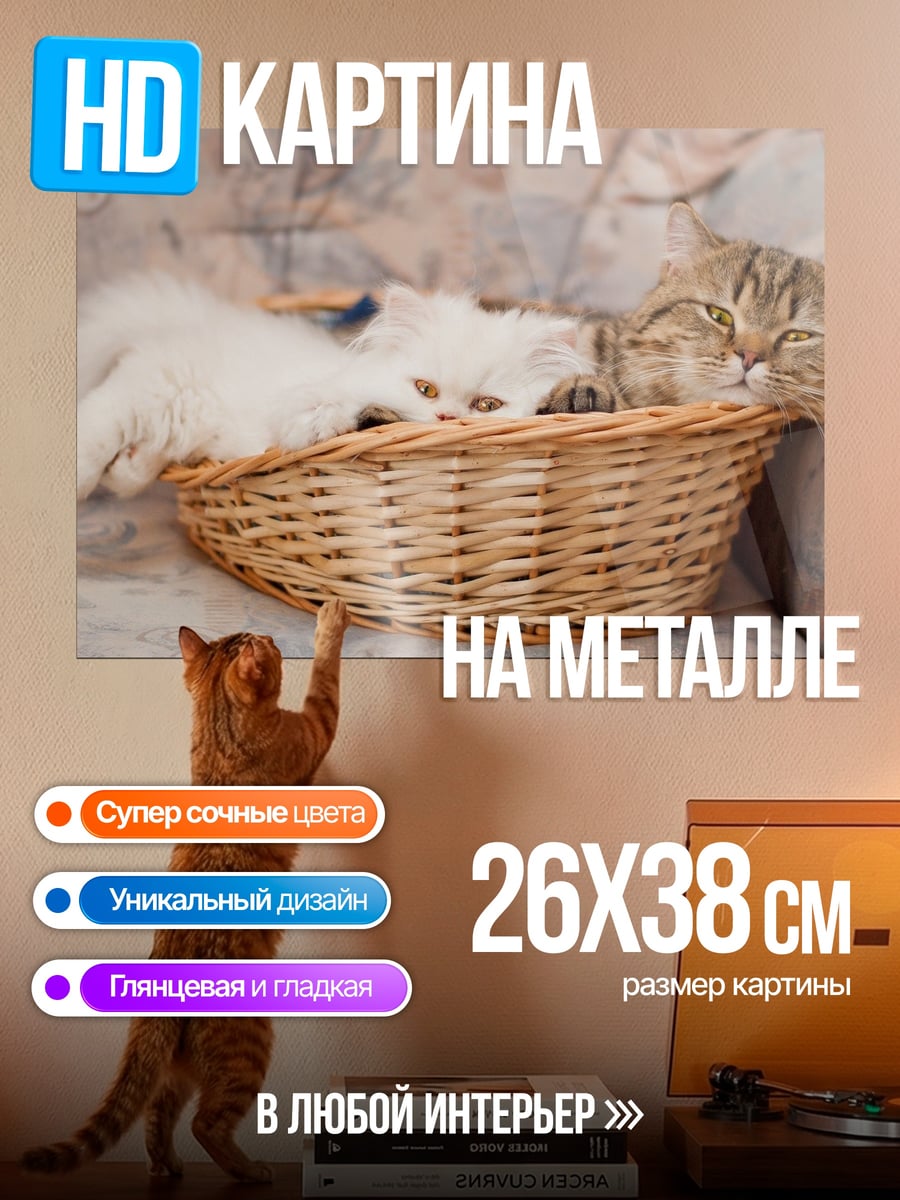 Картина на металле Котята в корзине