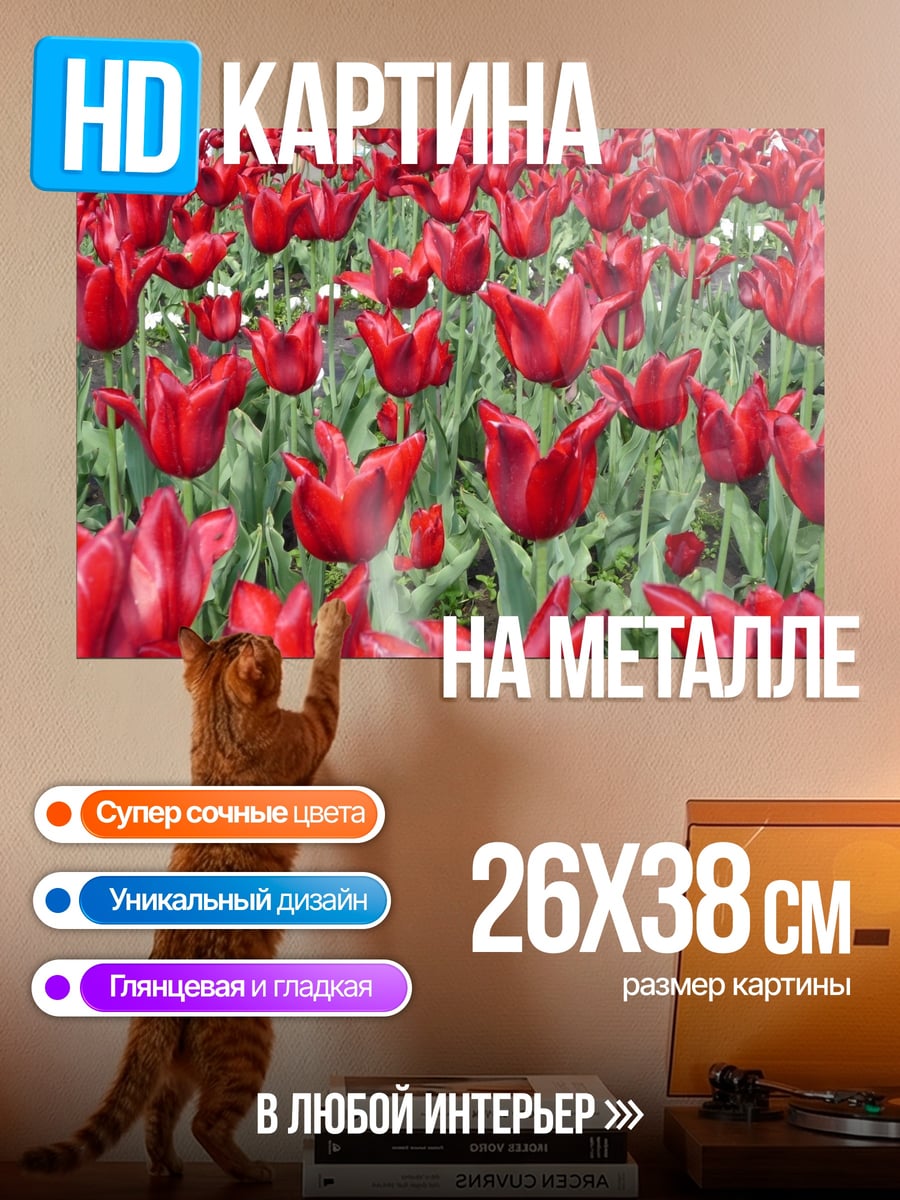 Картина на металле Красные тюльпаны