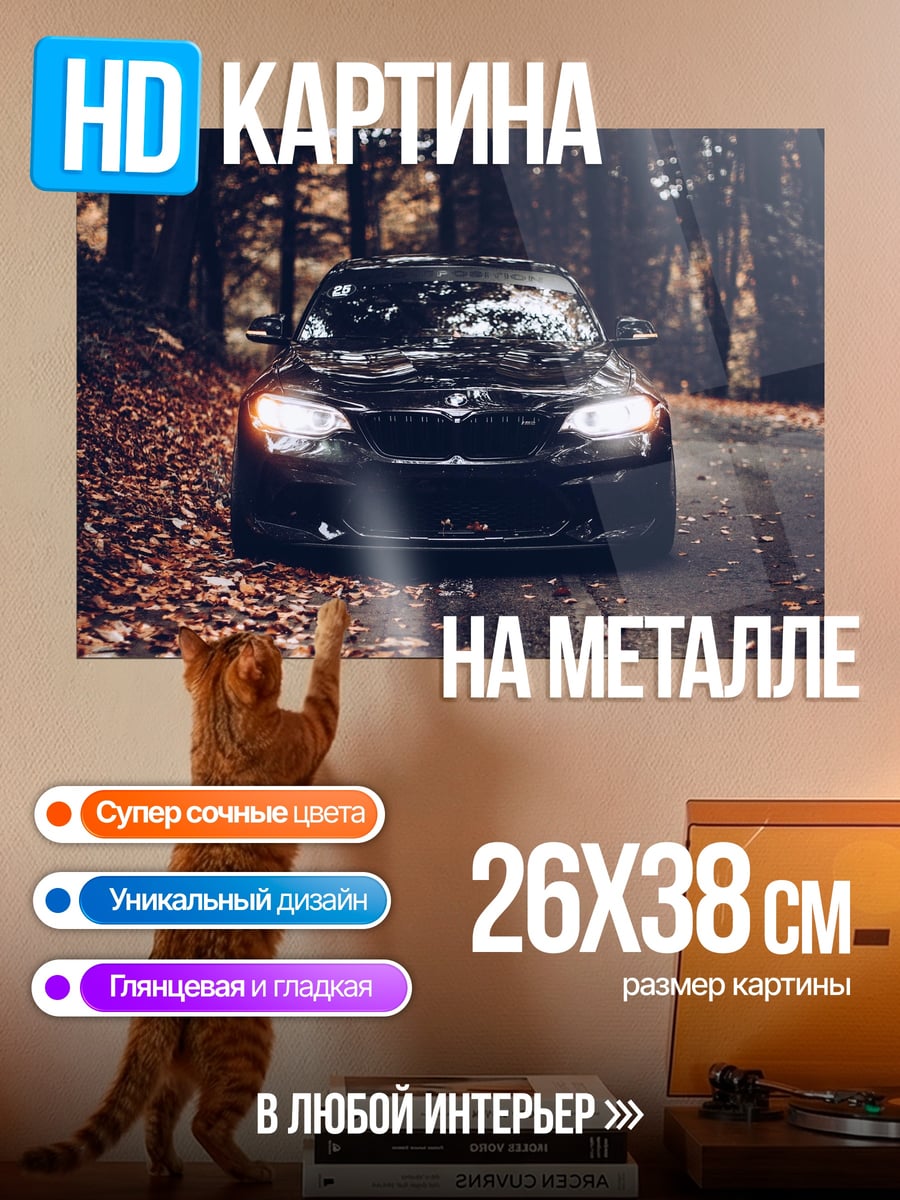 Картина на металле черное авто осенью