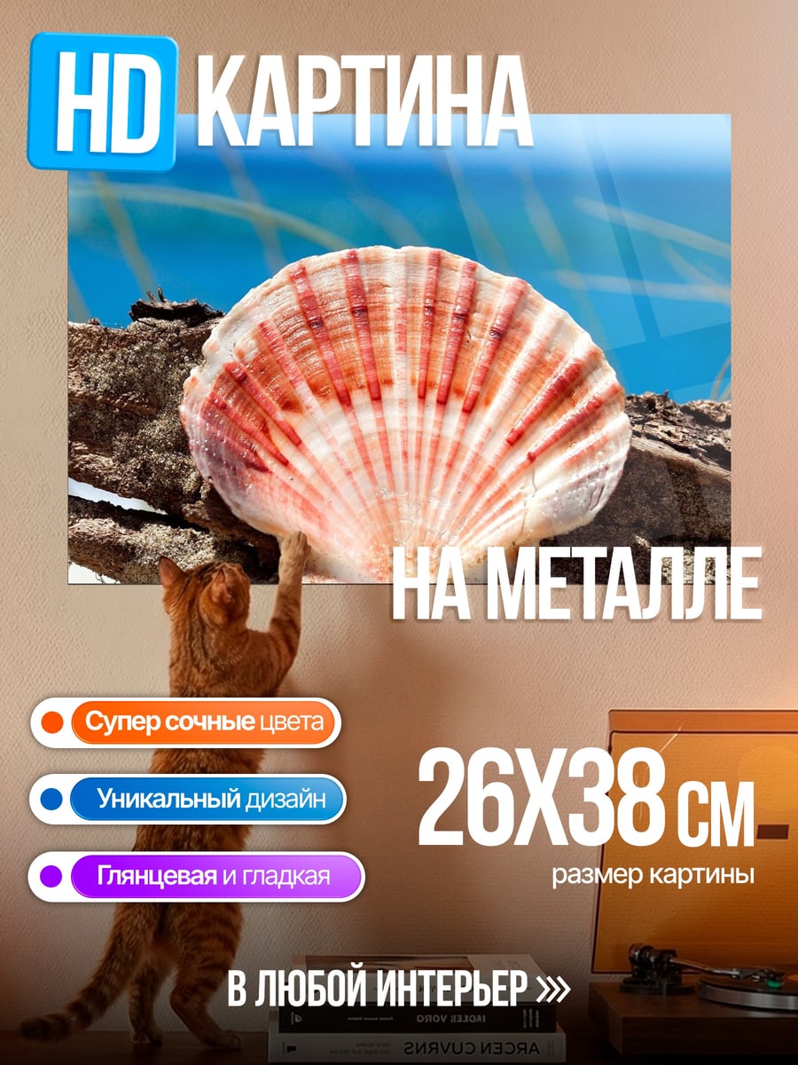 Картина на металле морская ракушка на берегу