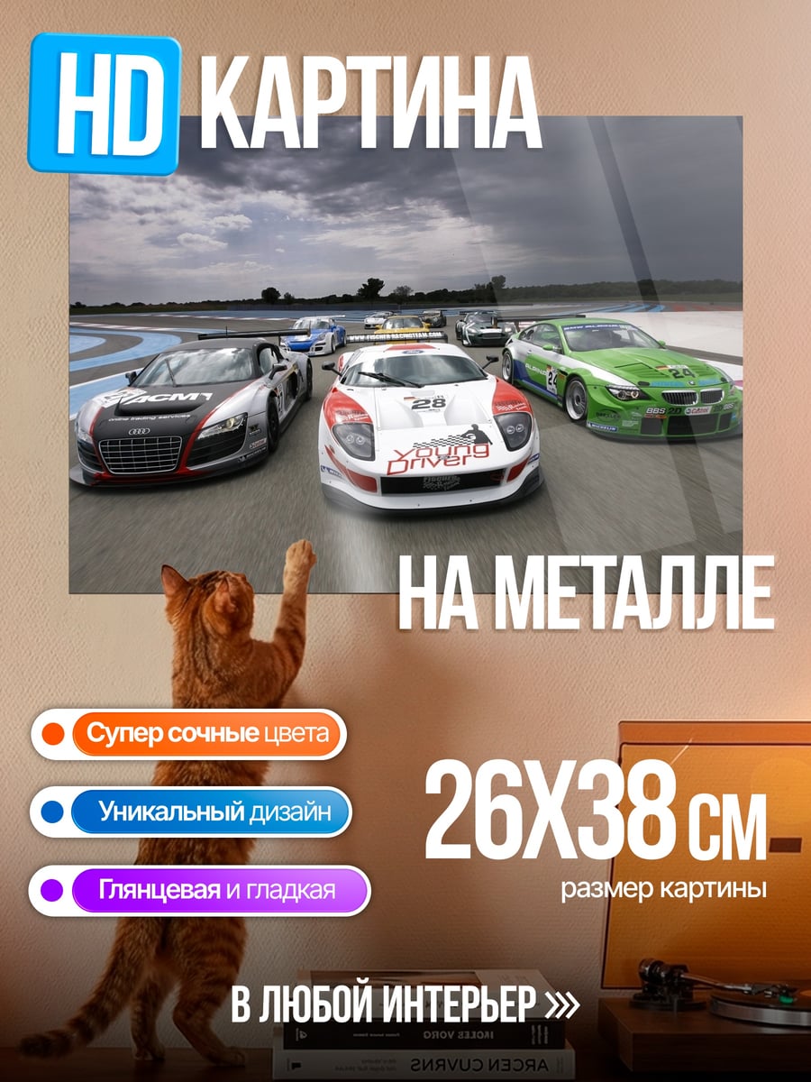 Картина на металле Гоночные машины на трассе
