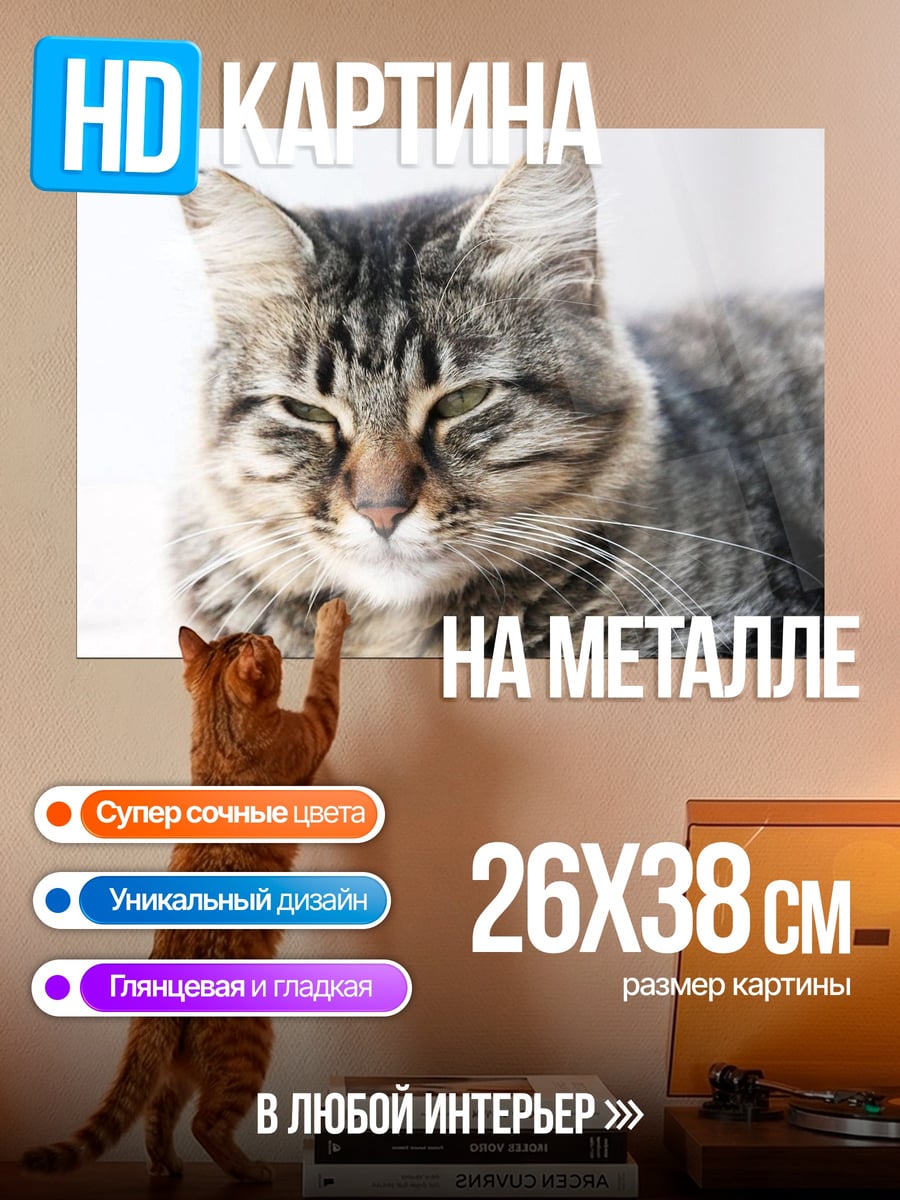 Картина на металле портрет кота