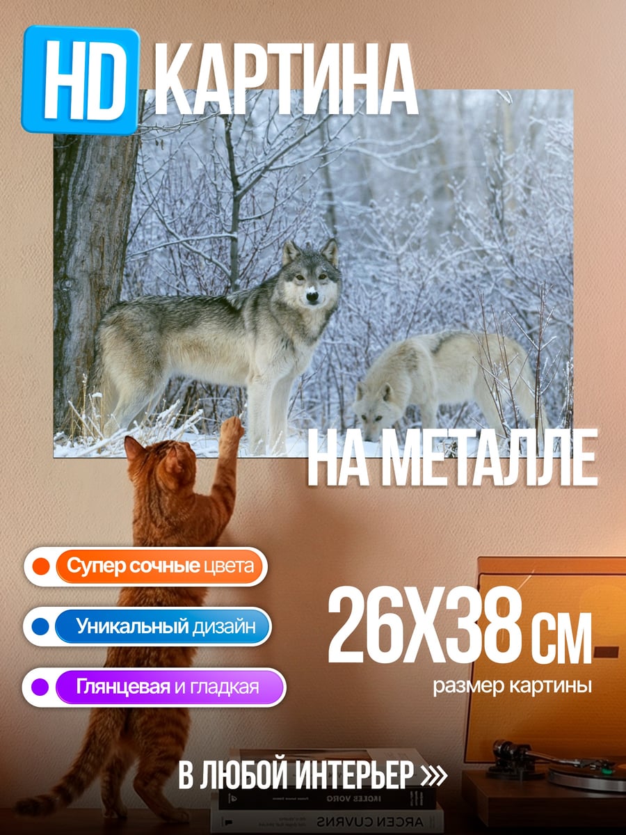 Картина на металле волки в снегу