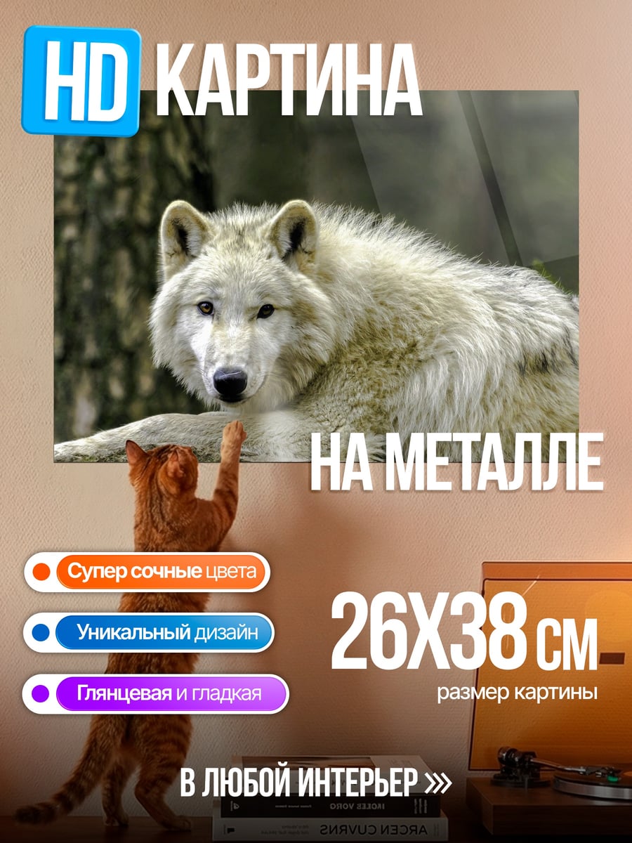 Картина на металле белый волк