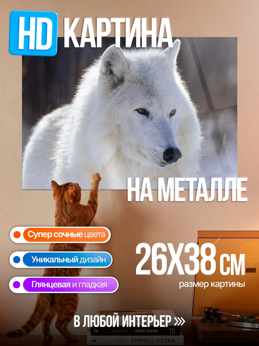 Картина на металле Белый волк зима