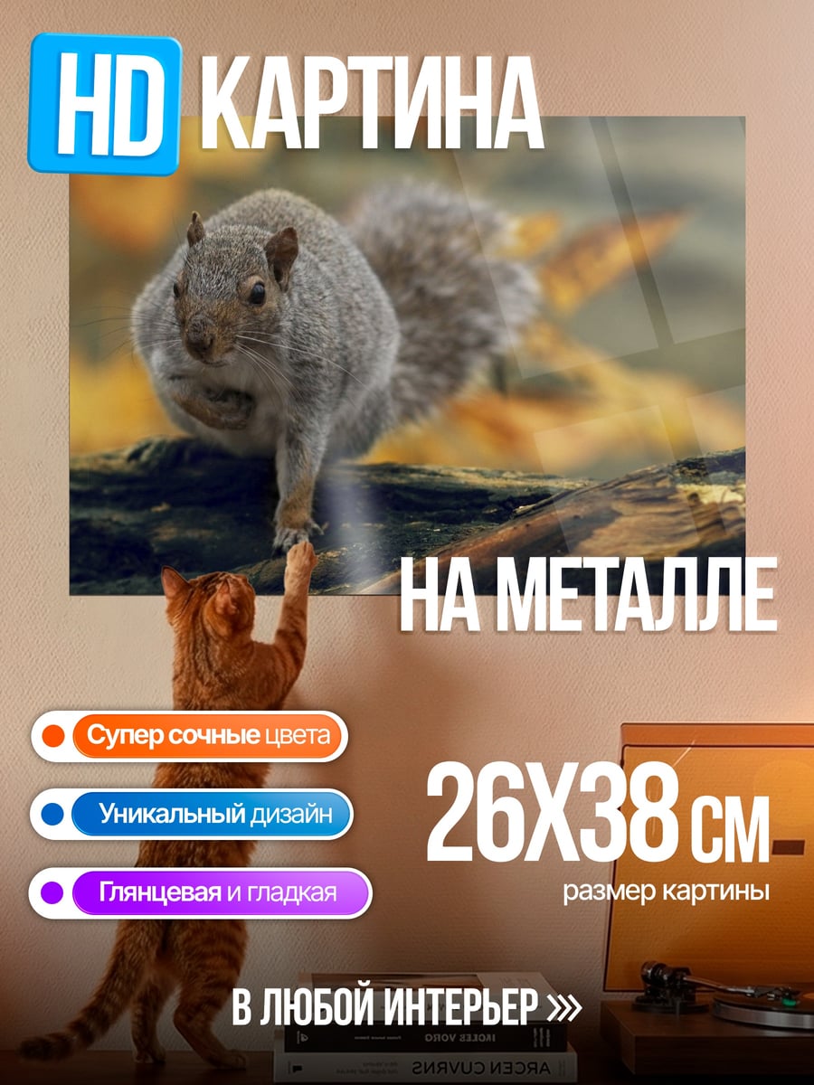Картина на металле Белка на ветке