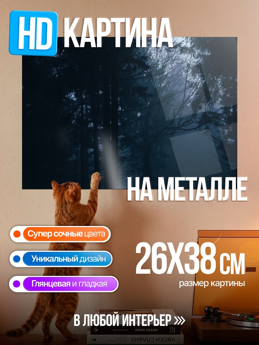 Картина на металле Ночной лес туман