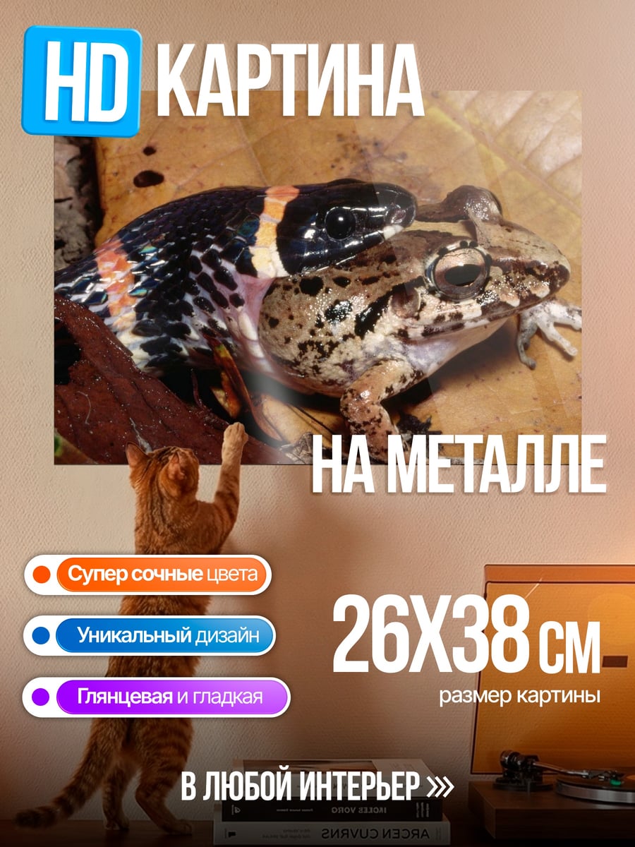 Картина на металле Змея ест лягушку