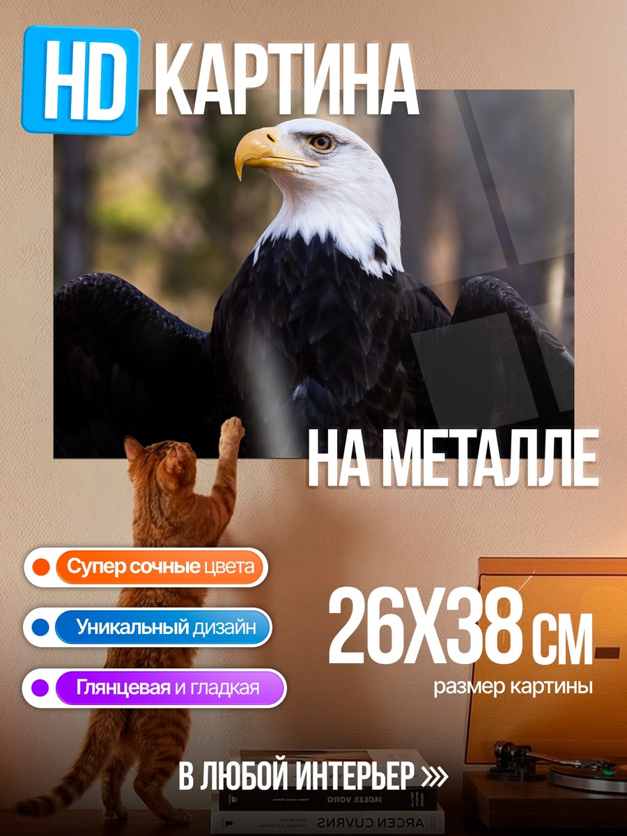 Картина на металле белоголовый орлан
