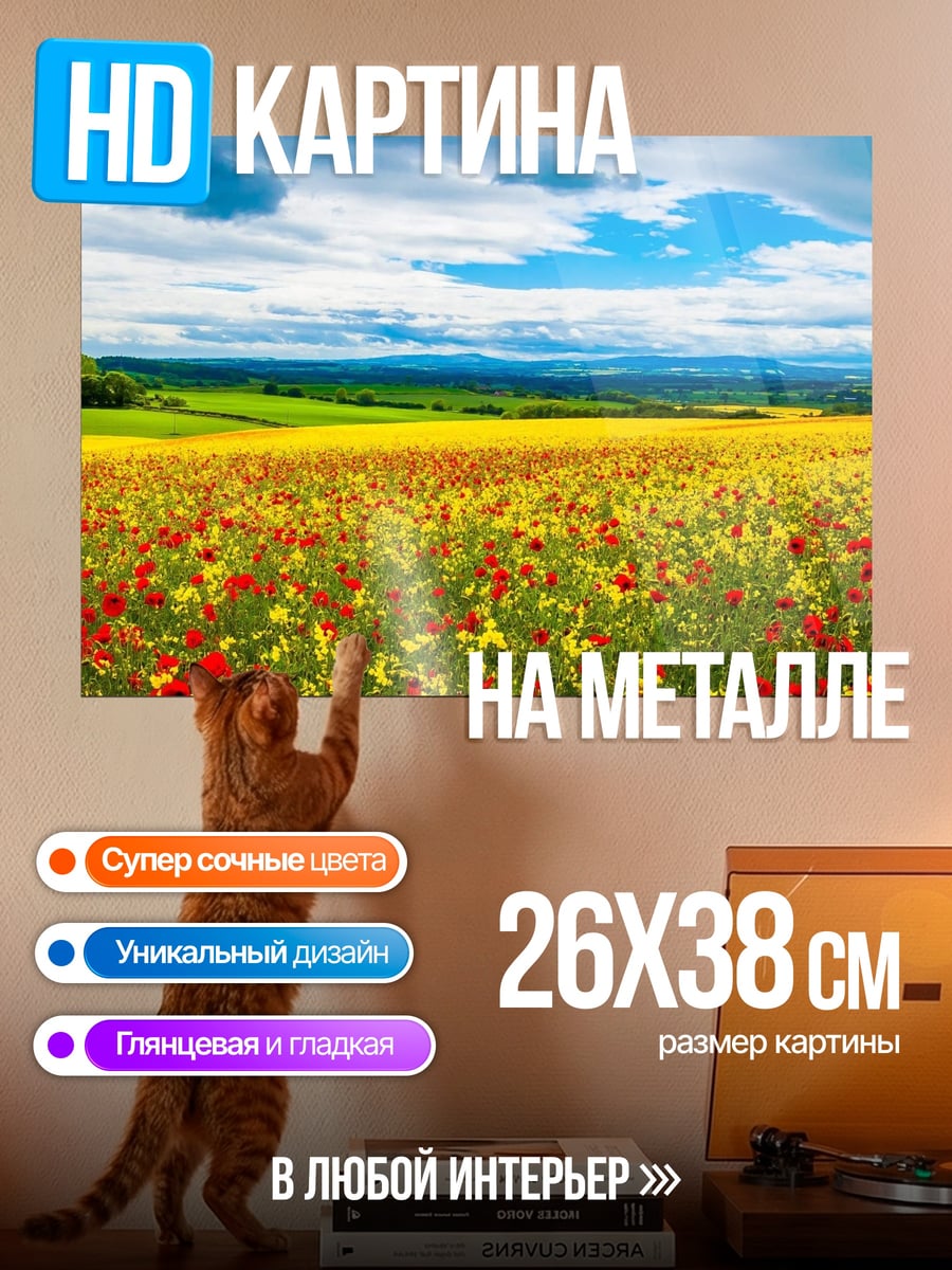 Картина на металле Поле маков