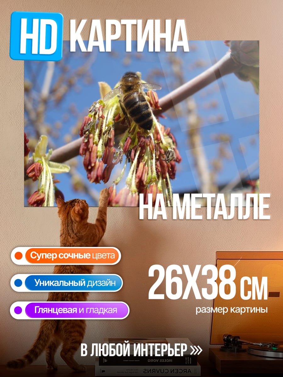 Картина на металле Пчела на цветке