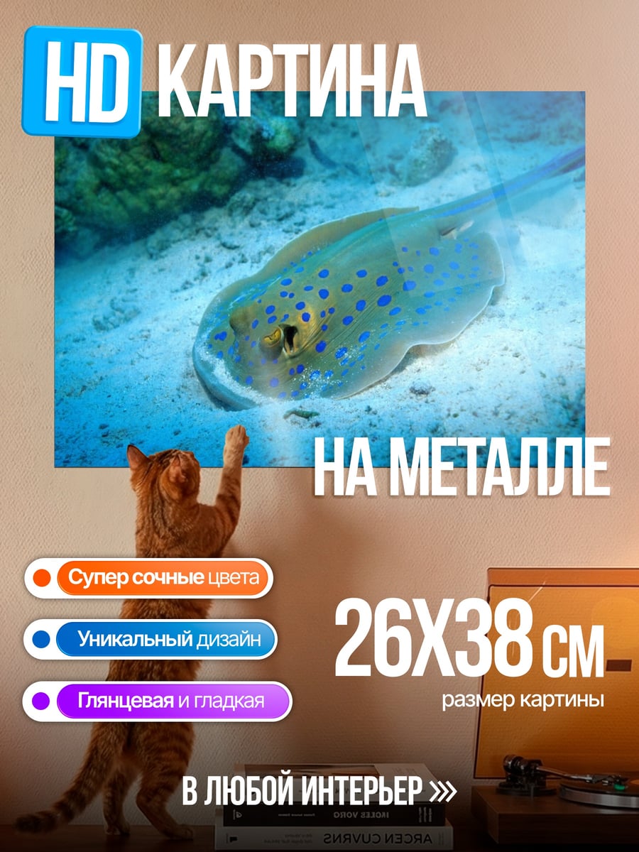 Картина на металле Синий скат подводный