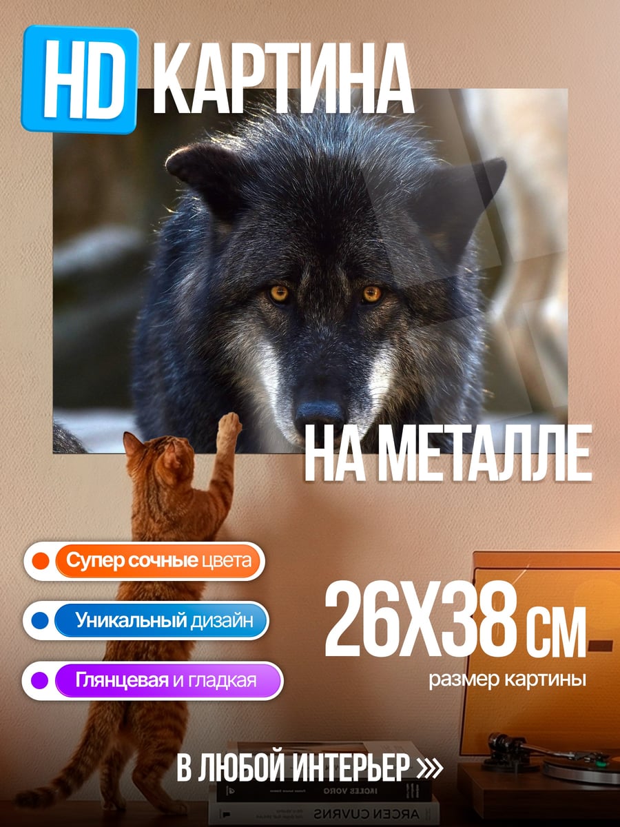Картина на металле Черный волк