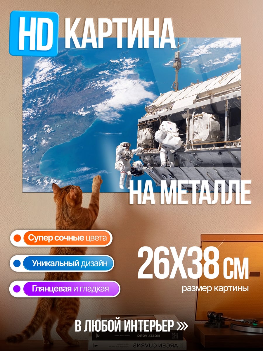 Картина на металле космонавты на орбите