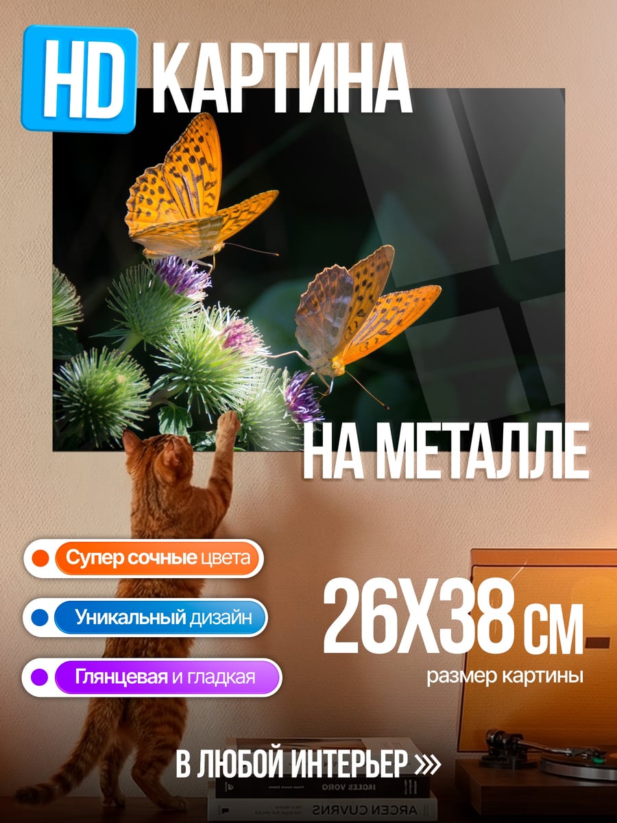 Картина на металле Две оранжевые бабочки