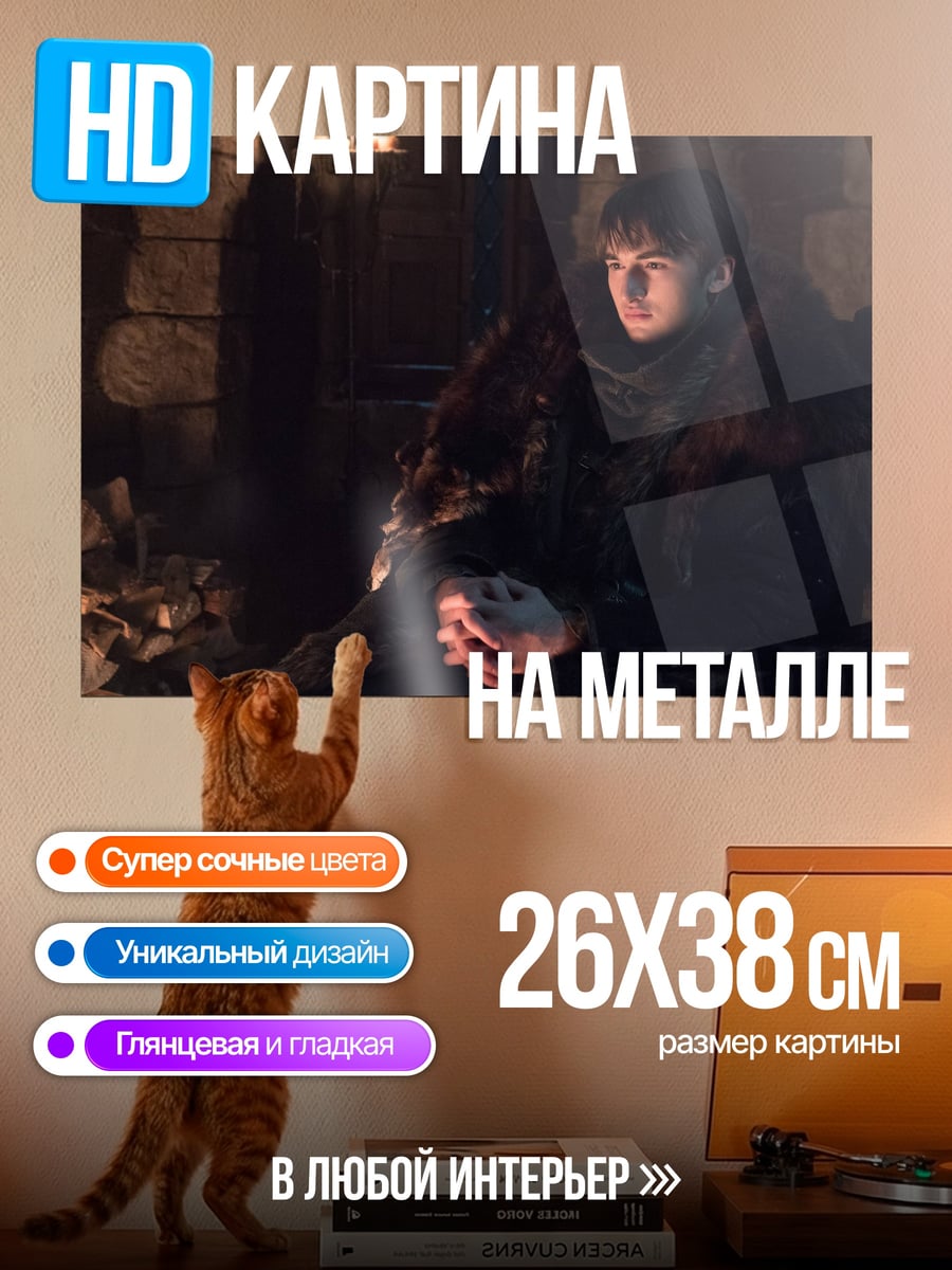 Картина на металле Бран Старк