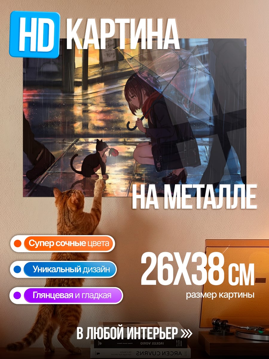 Картина на металле Кот под дождем
