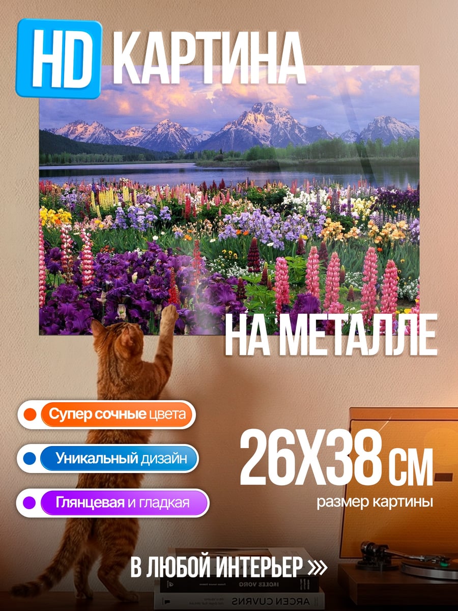 Картина на металле Цветочное поле гор
