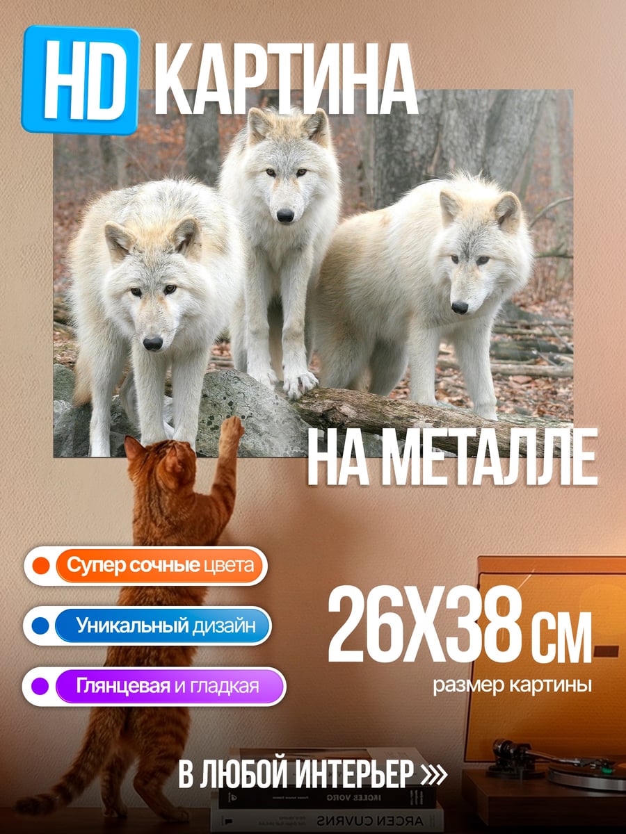 Картина на металле Стая белых волков