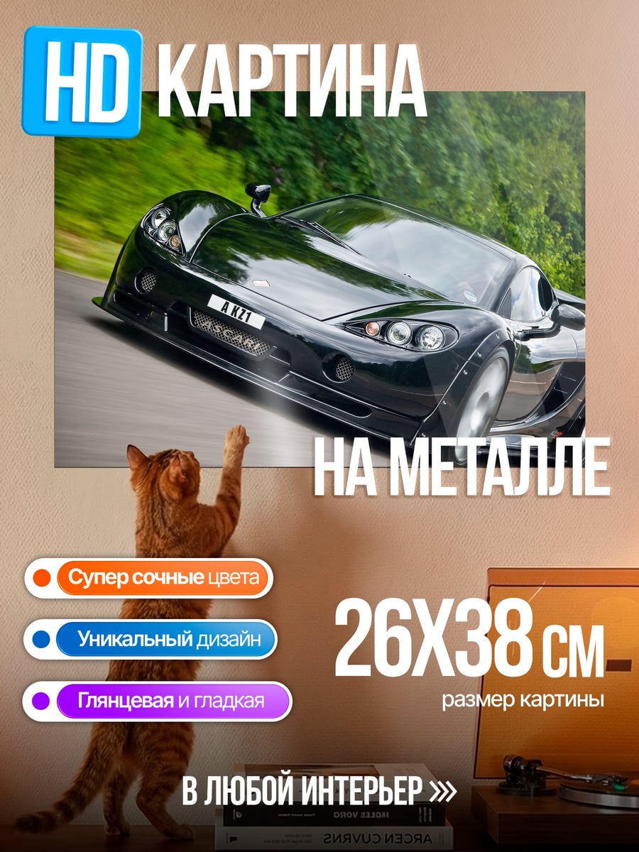 Картина на металле Черный спорткар