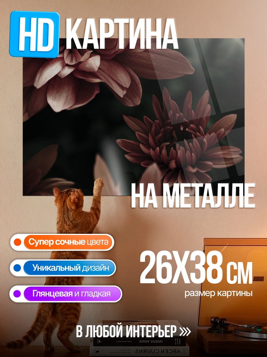 Картина на металле Красные хризантемы