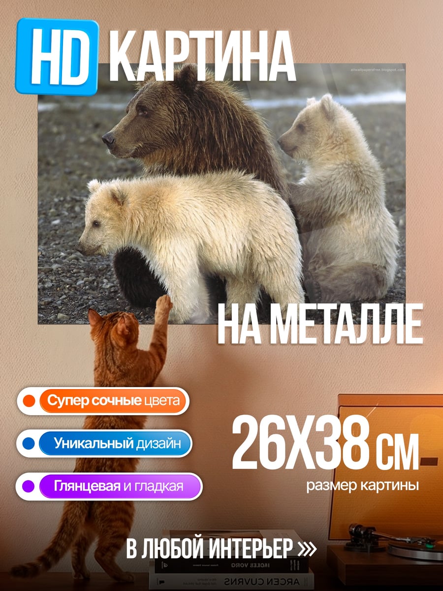 Картина на металле волк в тумане
