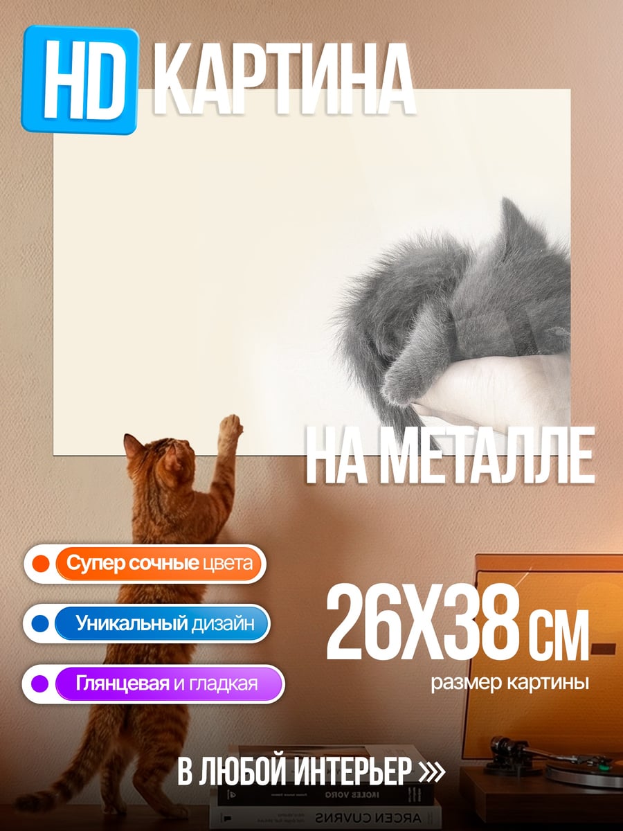 Картина на металле Спящий котенок