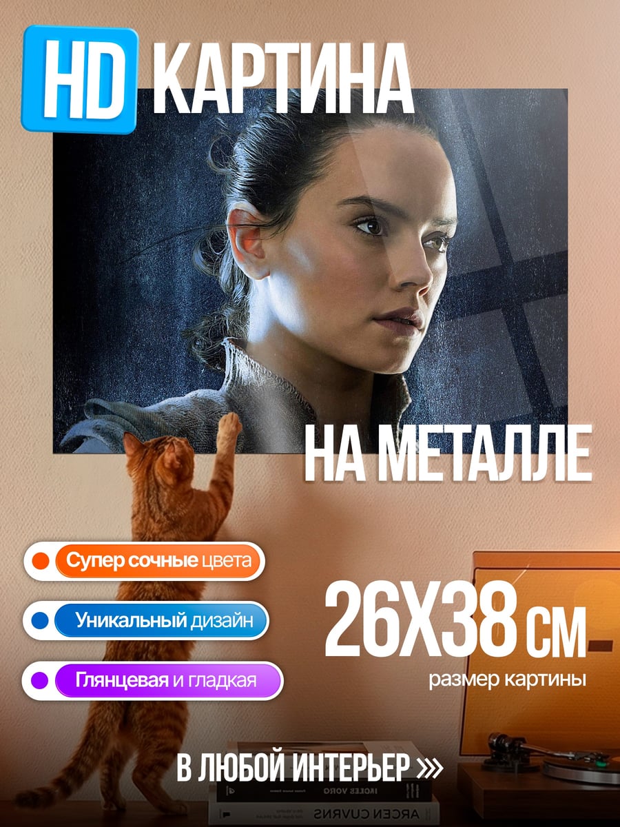 Картина на металле Рей из Звездных Войн