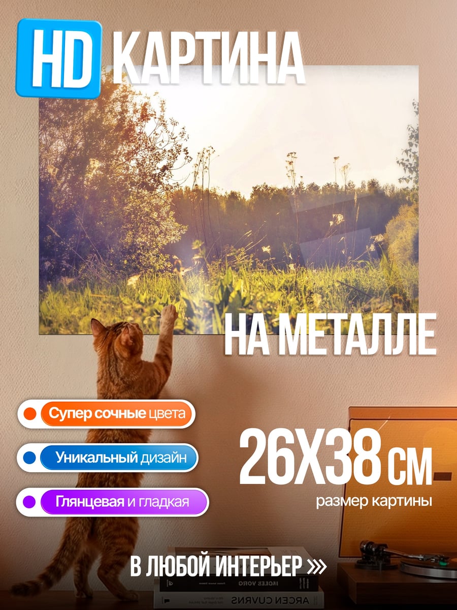 Картина на металле Летний пейзаж в закате