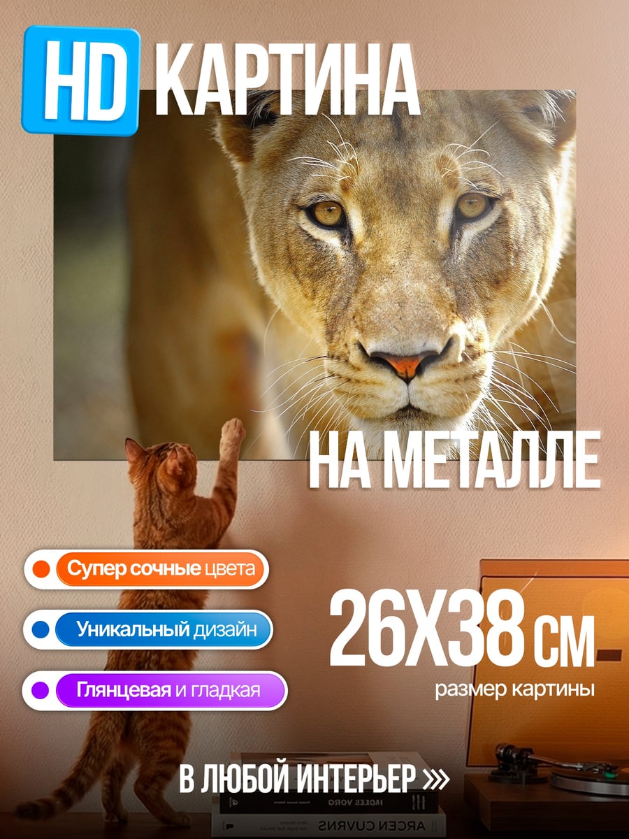 Картина на металле львица