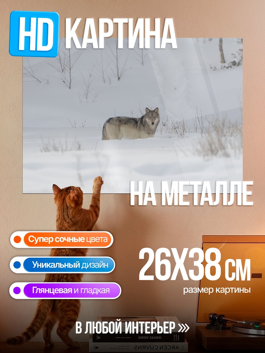 Картина на металле Волк в снегу