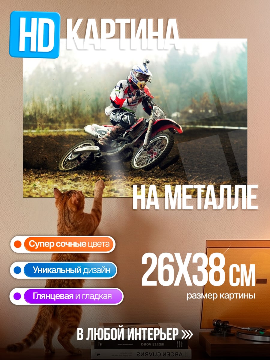 Картина на металле Мотоциклист на трассе