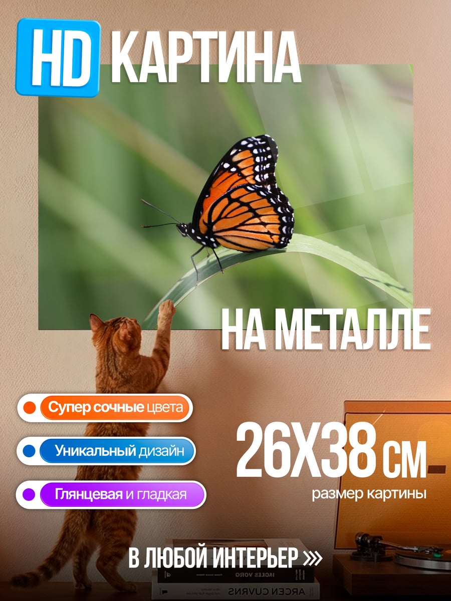 Картина на металле оранжевая бабочка
