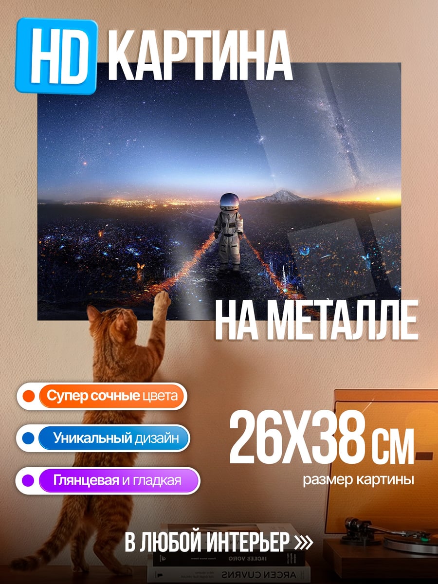 Картина на металле Космический странник на закате