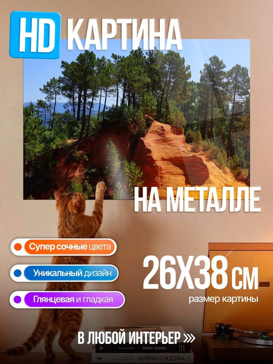 Картина на металле Красные скалы и сосны