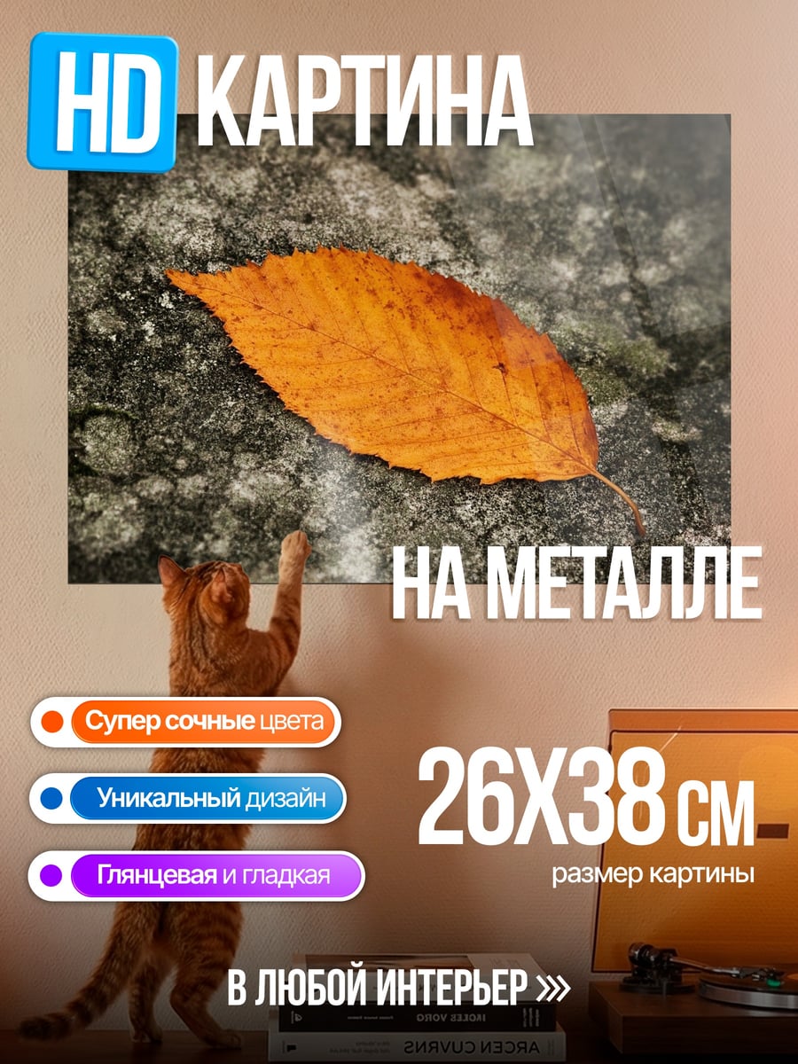 Картина на металле Осенний лист на камне