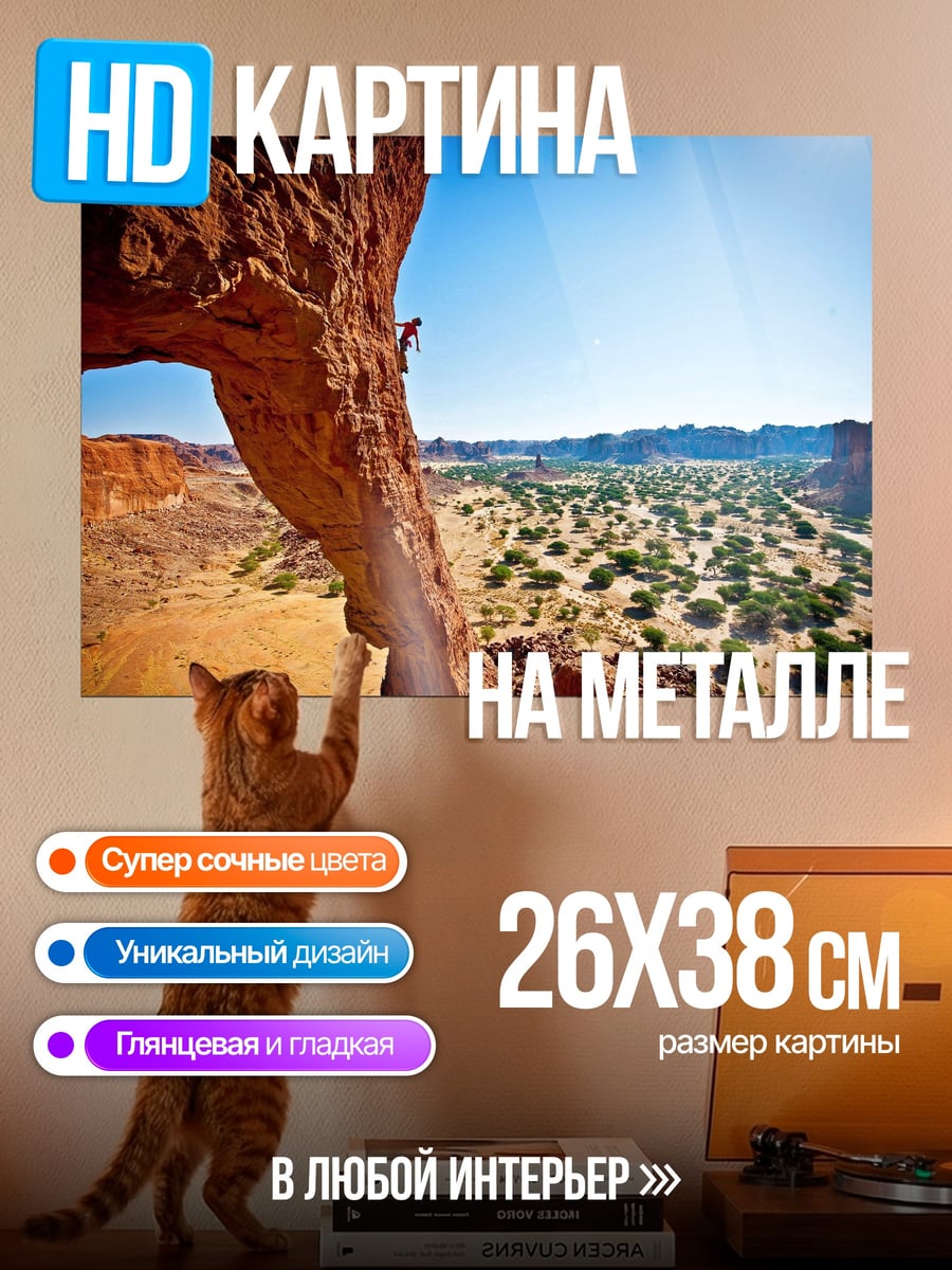 Картина на металле Скалолаз в каньоне