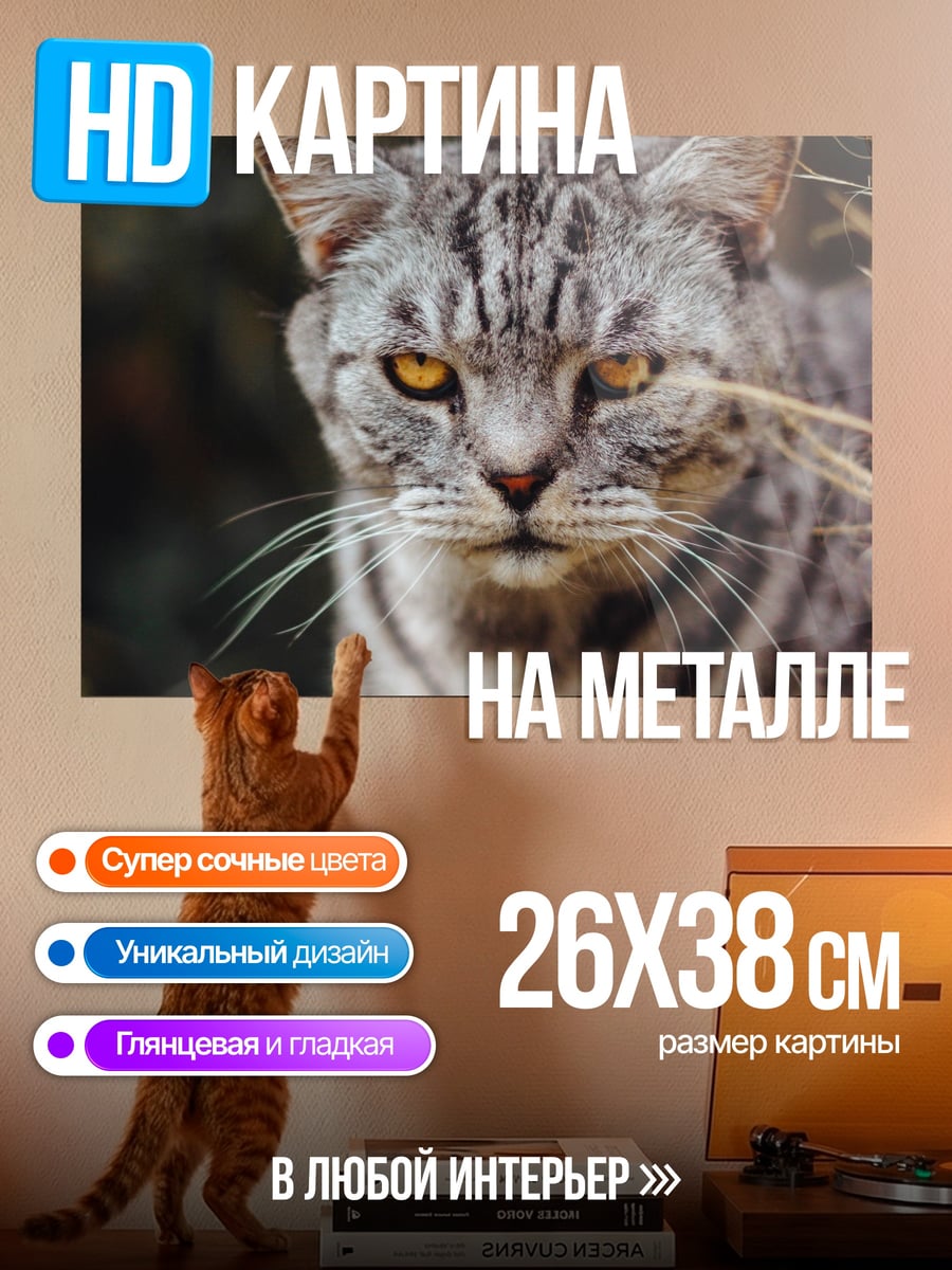 Картина на металле серый полосатый кот