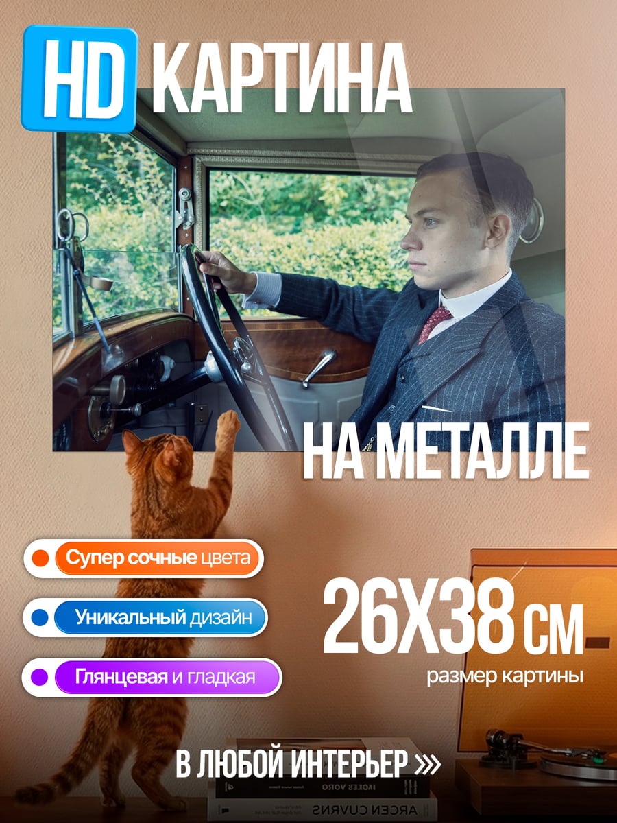 Картина на металле мужчина за рулем